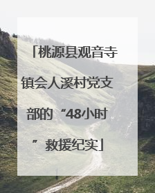 桃源县观音寺镇会人溪村党支部的“48小时”救援纪实